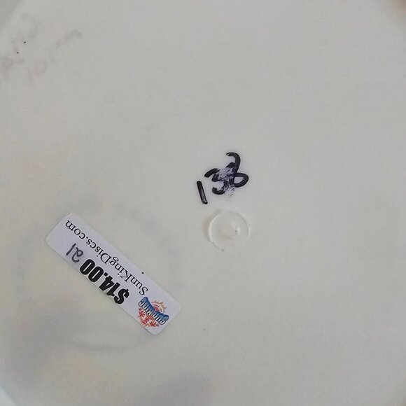 Gateway Disc Sports - Lightweight Set, 5 Discs, White 138-146g, Unmarked molds - Picture 8 of 8